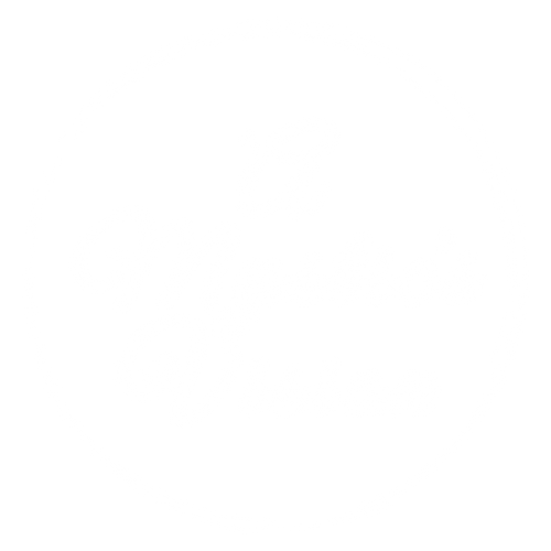 circle logo of AMV